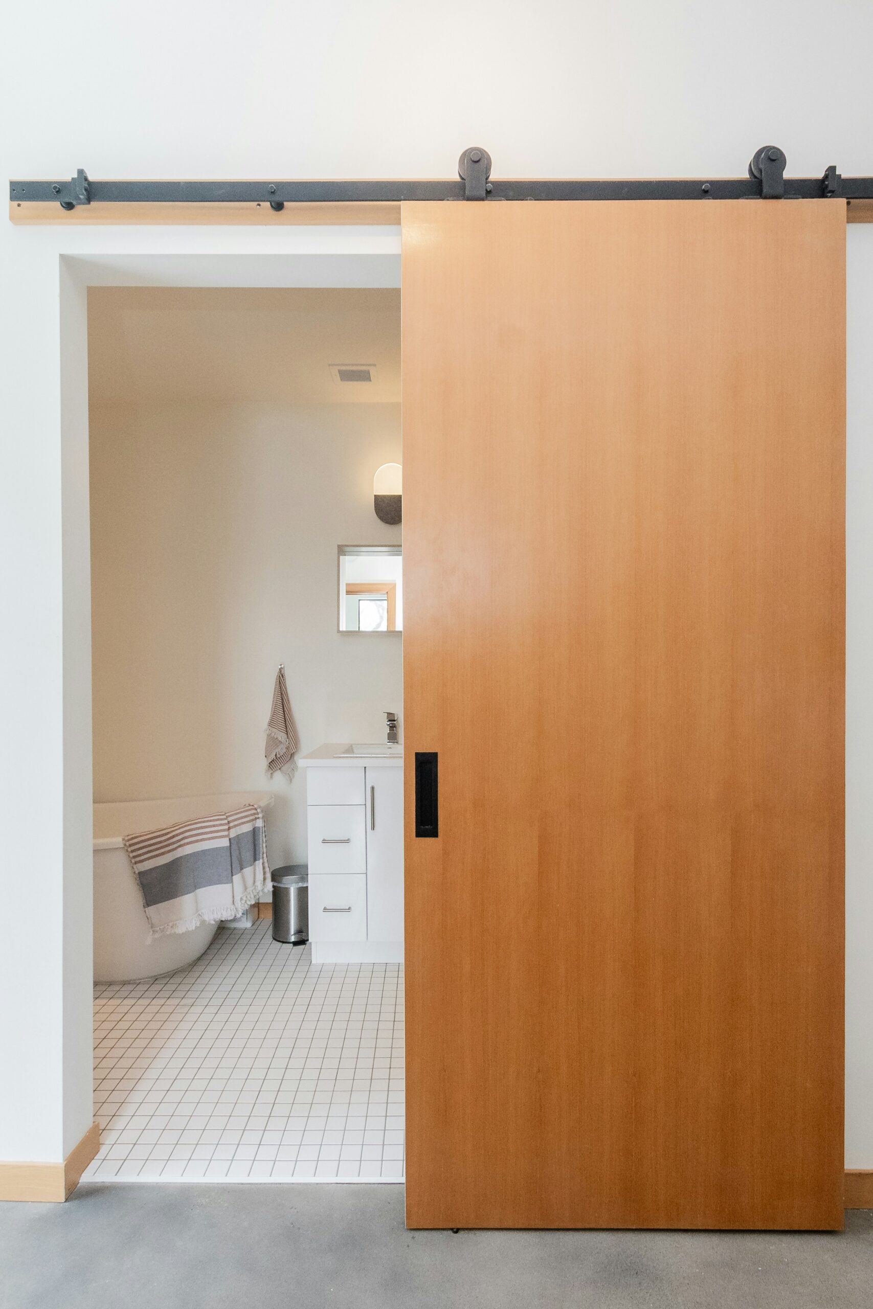 Interior Barn Door