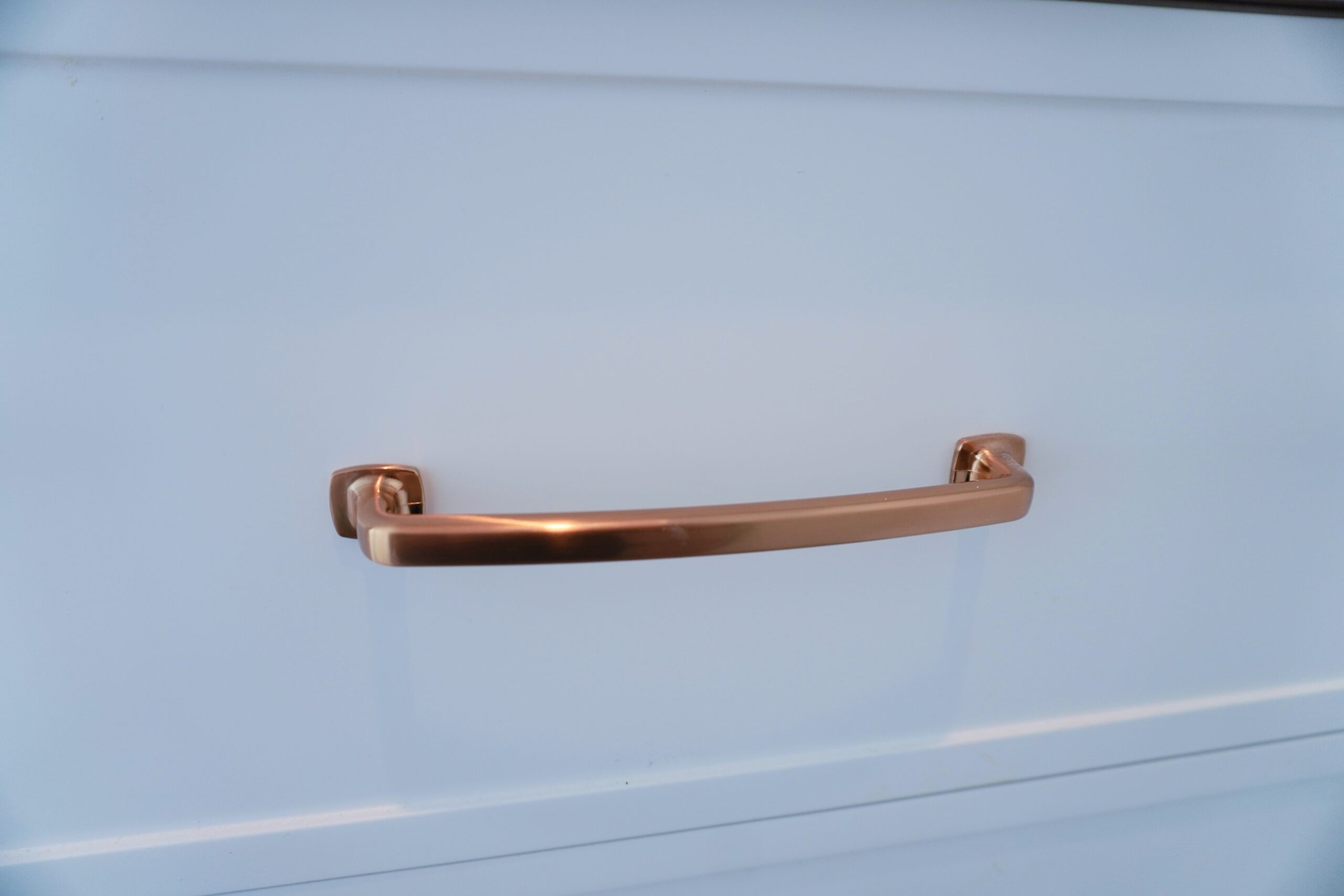 Project Gallery Image