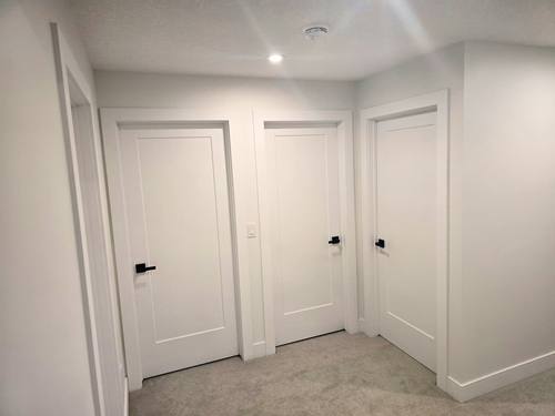 Summit Doors and Trims project photo